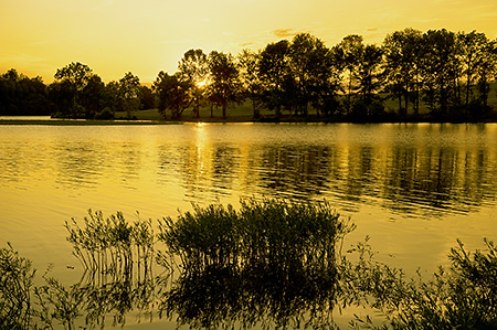 Sunrise Over Lake Anna, Louisa County, VA